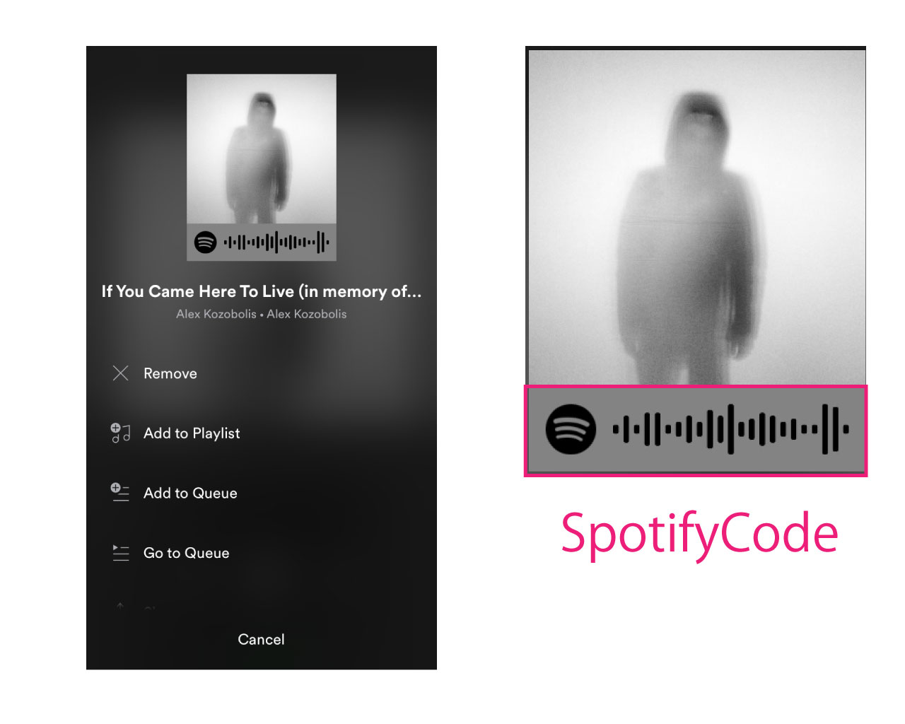 spotify-share-say-hello-to-spotify-codes-2