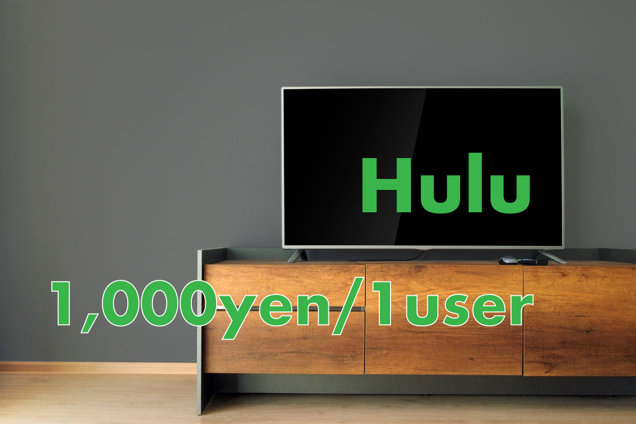 hulu-system-trouble-ticket-request-1