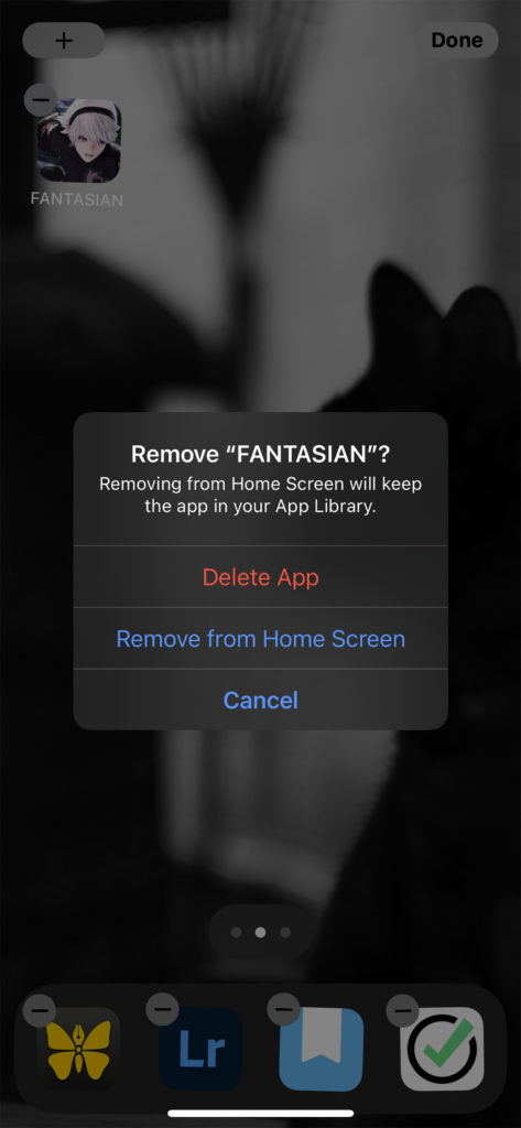 「ホーム画面から取り除く」でアプリをホーム画面から隠すことができる．